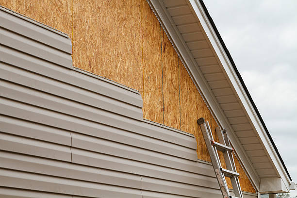 Professional Siding Contractor technician working in Dorchester, MA